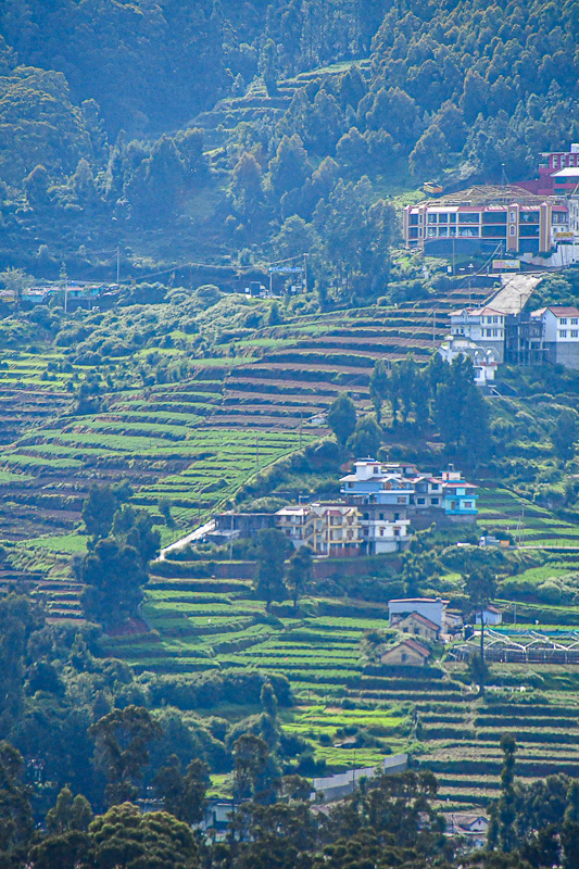 09 05 Morning view of Ooty from hotel India-2-2544