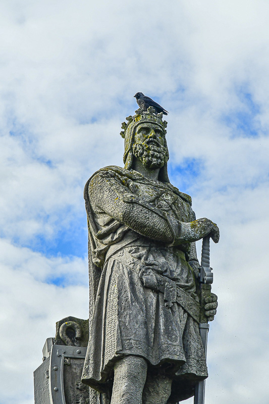 06 15 Robert The Bruce 5293