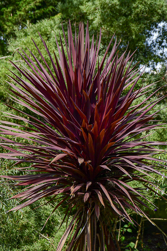 09 05 India-2-2562