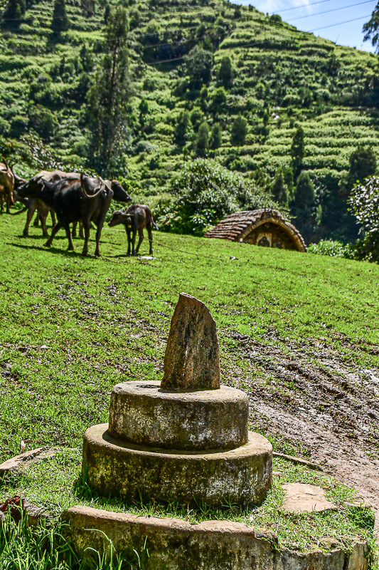 09 05 Toda sundial in pasture India-2-2608