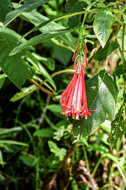 09 05 - India-2-2613