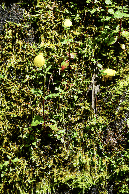09 05 India-2-2618