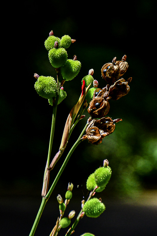 09 05 India-2-2625