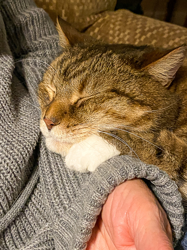 Another hard day in the life of Hobbes i5888