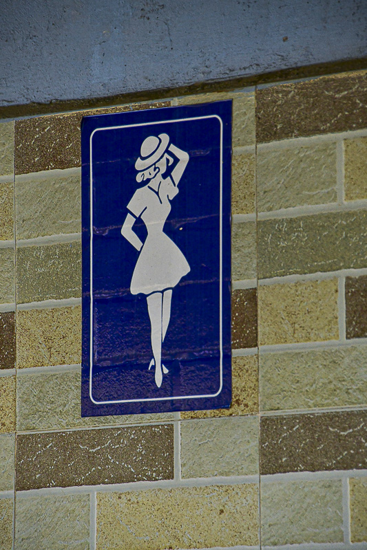 09 05 'Ladies' loo India-2-2661