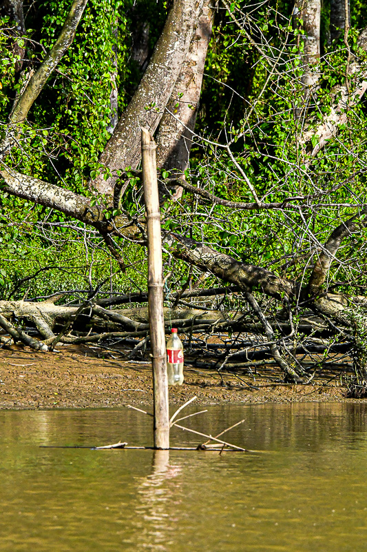 08 26 Fisherman's marker in the Kinabatangan River 4719
