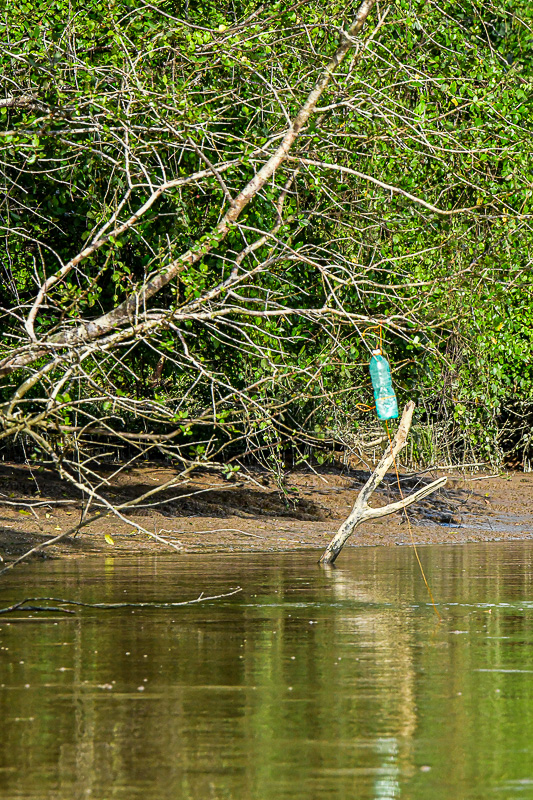 08 26 Fisherman's marker in the Kinabatangan River 4720