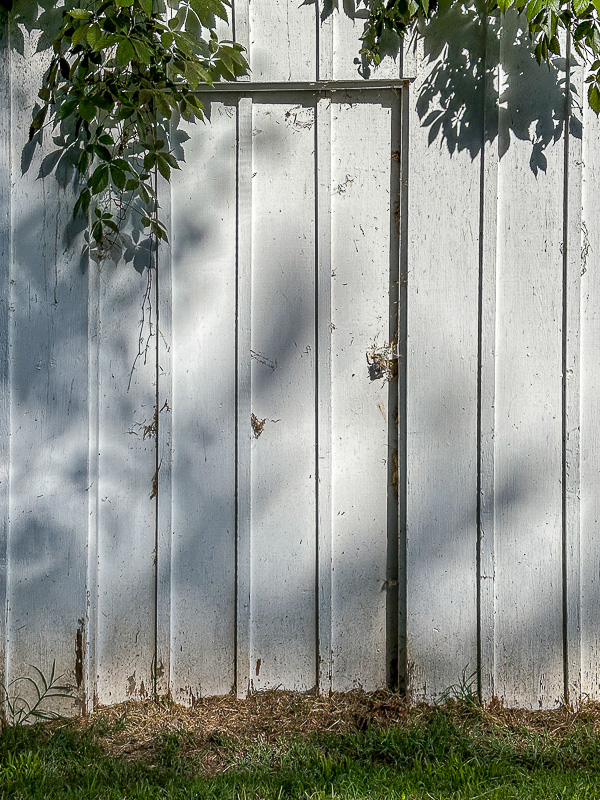 09 02 Shed door i0219