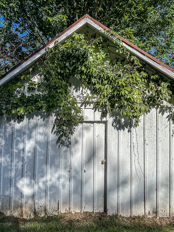 09 02 Shed i0220