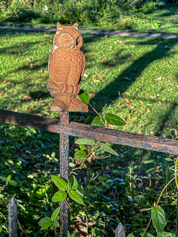 09 02 Wise i0241