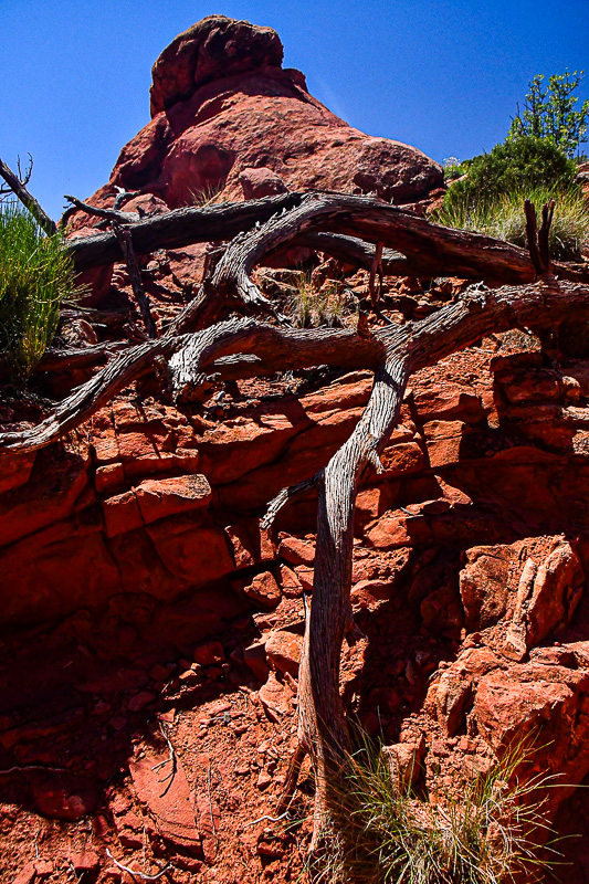 05 03 Utah19-2-1509
