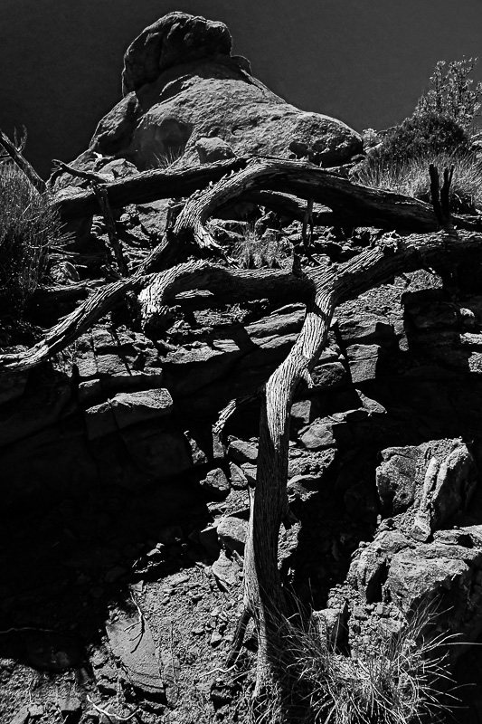 05 03 Utah19-2-1509-2