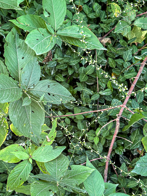 09 02 TBD i0129
