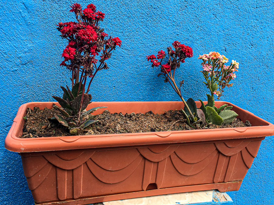 04 02 Decour Moroc-i063N