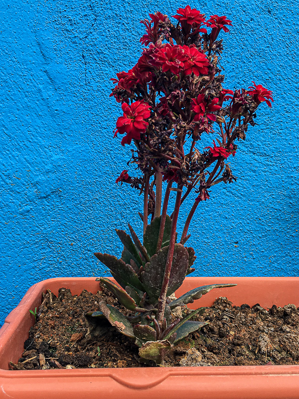 04 02 Decour Moroc-i0646