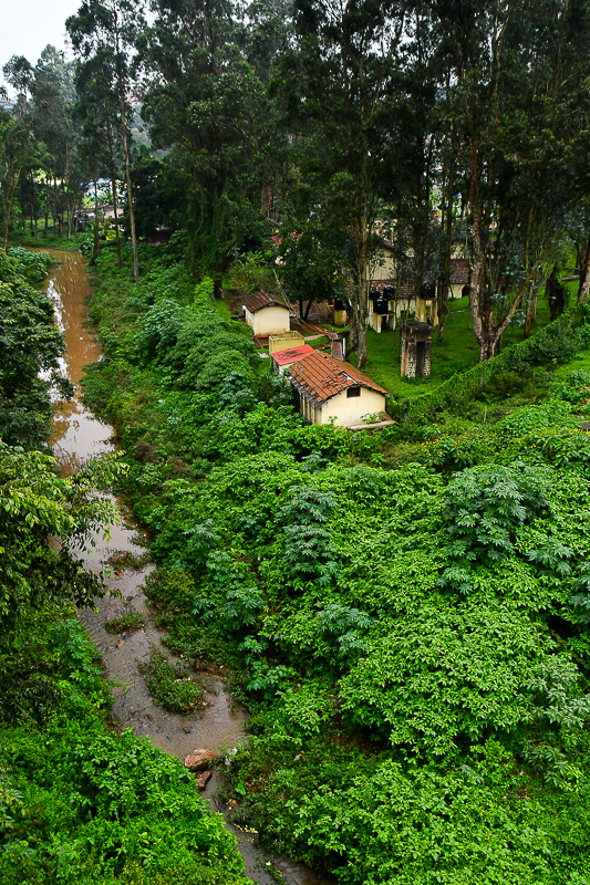 09 05 On the Nilgiri Mountain Railway India-2-2812