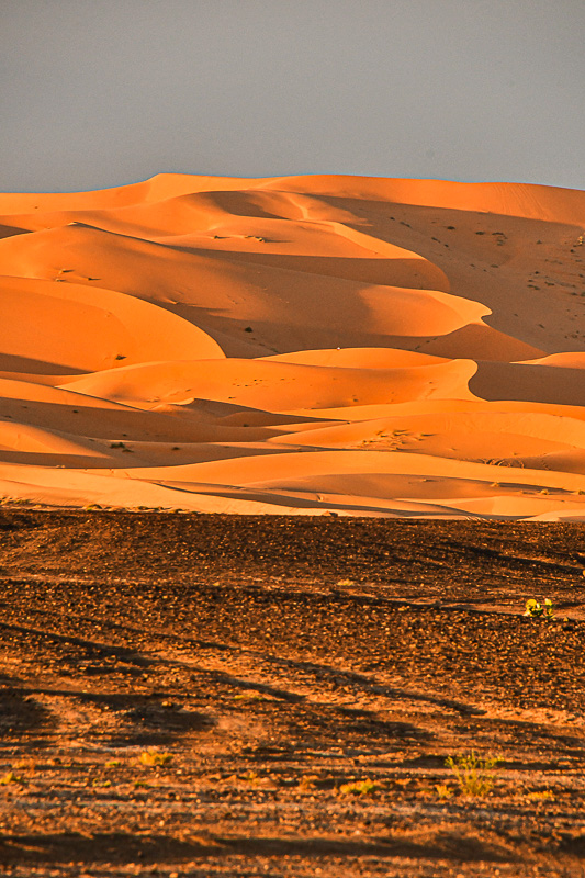 04 02 El Chebbi near sundown Moroc-4394
