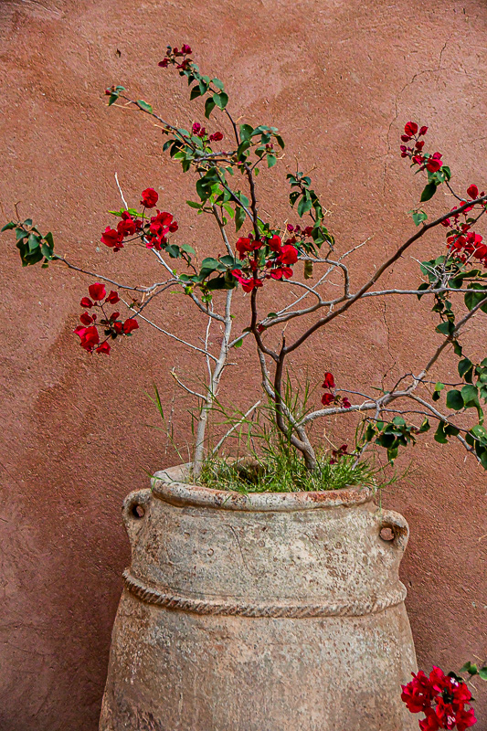 04 02 At Riad Moroc-4398