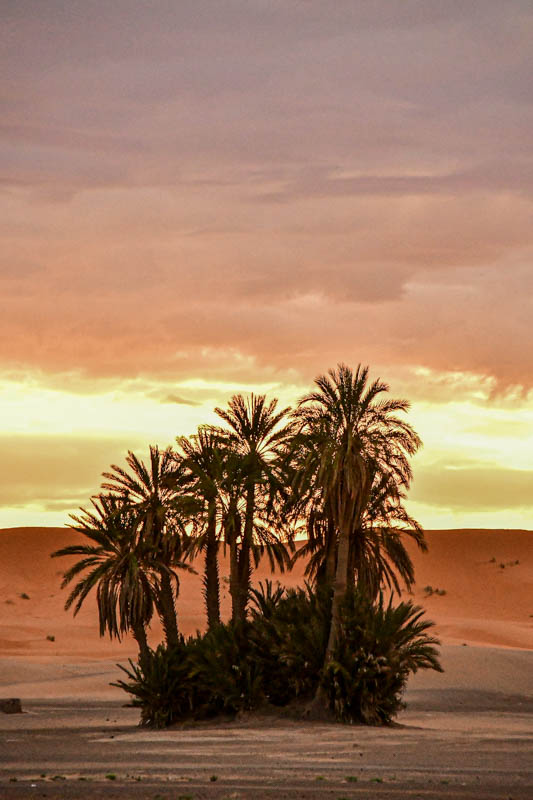 04 03 El Chebbi morning Moroc- 4473