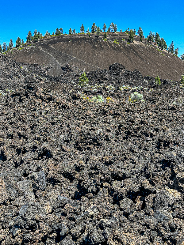 20240719 Lava Butte from the Trail of the Molten Land 6988