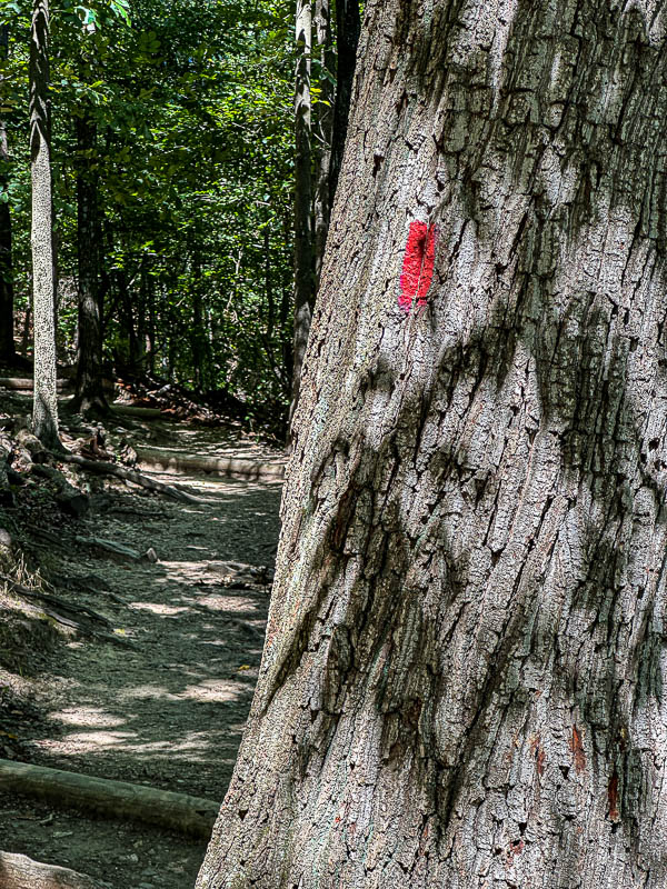 09 03 The Red Trail i0285