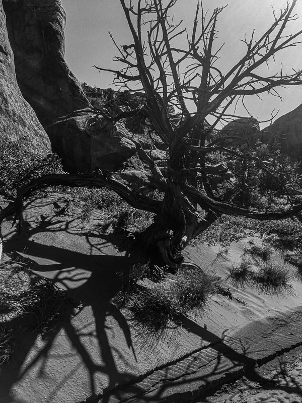 Arches National Park