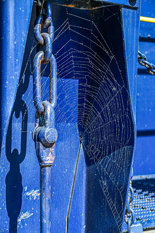2025 05 24 Spider web 1607