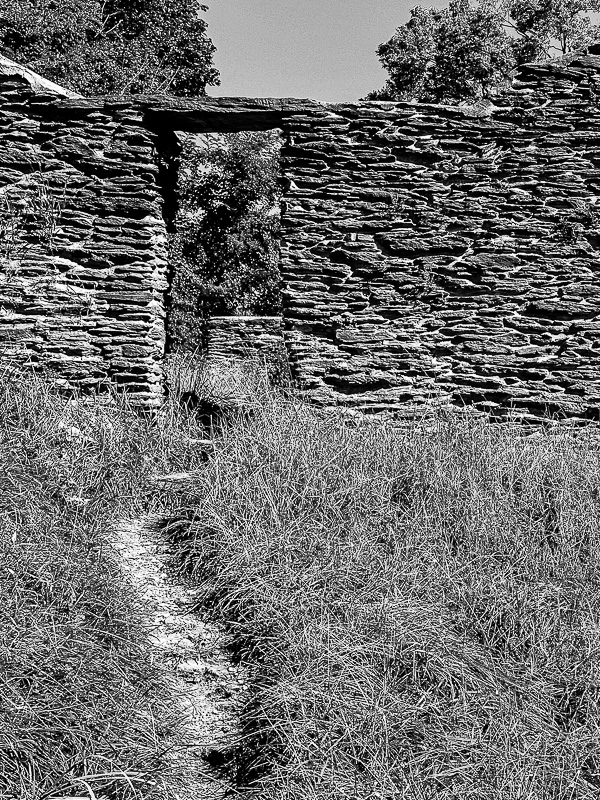 West Virginia Monochromes