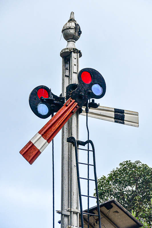 09 05 Signal India-2-3056
