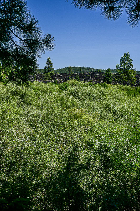 2024 07 19 Newberry lava flow and the Deschutes River 8009