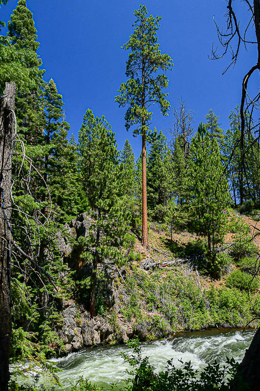 Upper Deschutes and Benham Falls