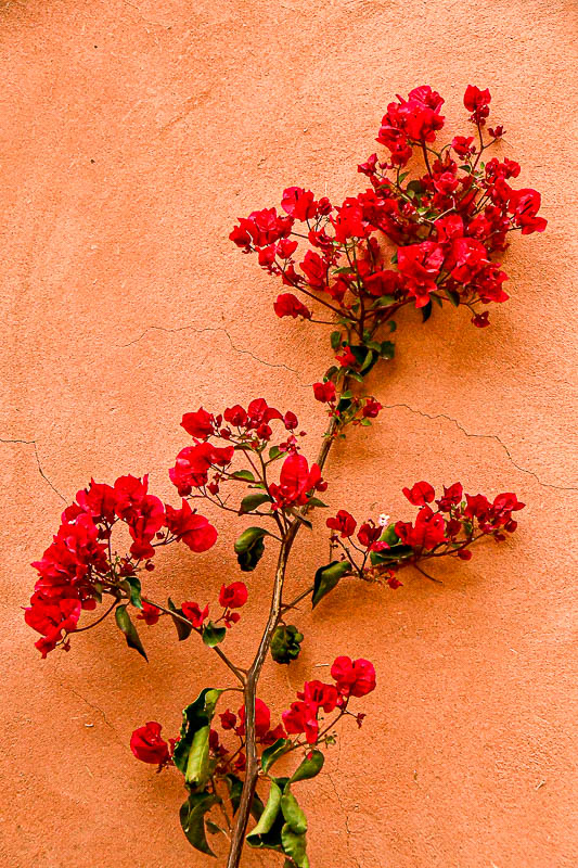 Red, naturally