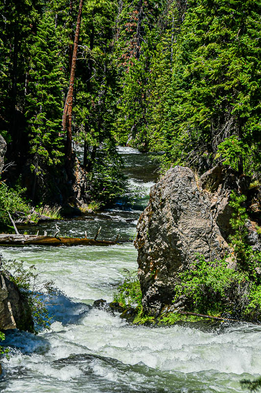 2024 07 19 Upper Deschutes River 8021