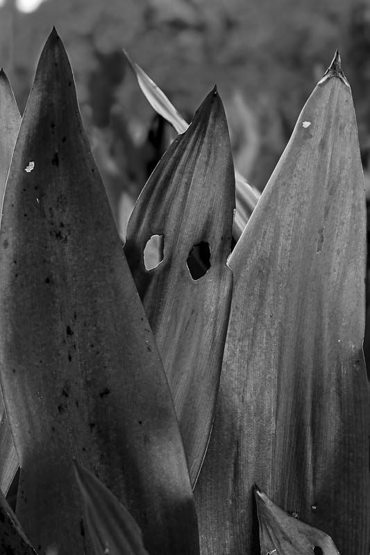 2023 08 26 Ghostly 5201-2