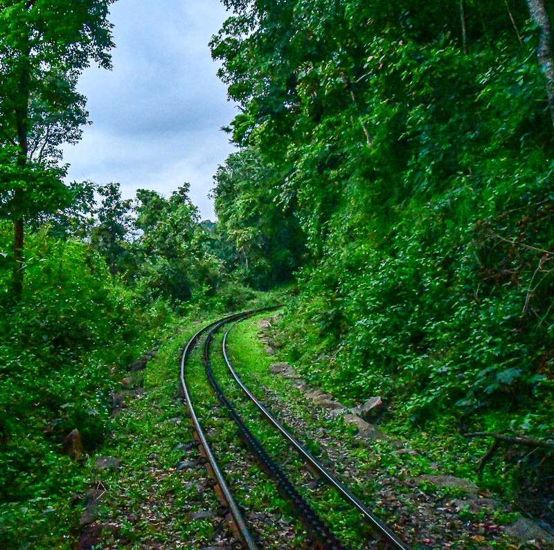 On the Nilgiri Mountain Railway - Tamil Nadu