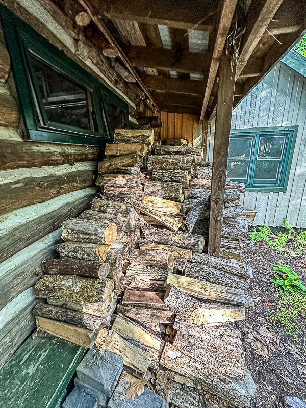 2024 08 18 Wood for winter i9698