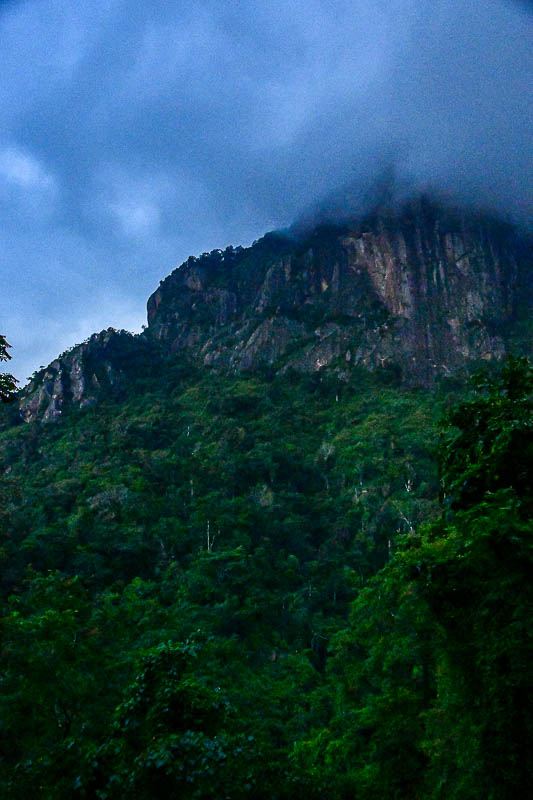 On the Nilgiri Mountain Railway - Tamil Nadu