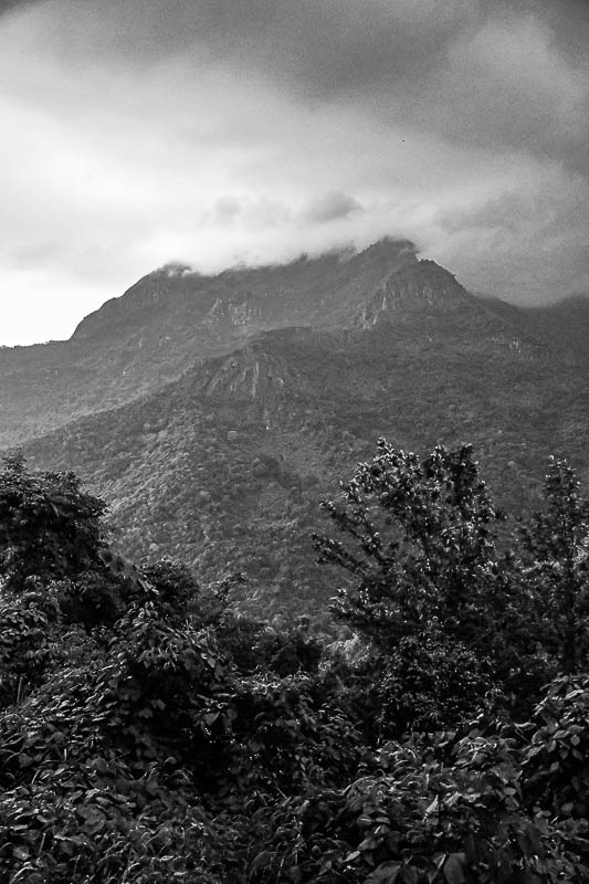 On the Nilgiri Mountain Railway - Tamil Nadu