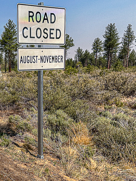 2024 07 20 Locator i7093