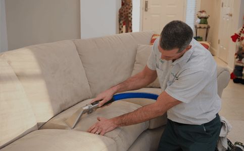 Looking for the best Carpet Cleaning Services Toledo | Steamextoledo.com