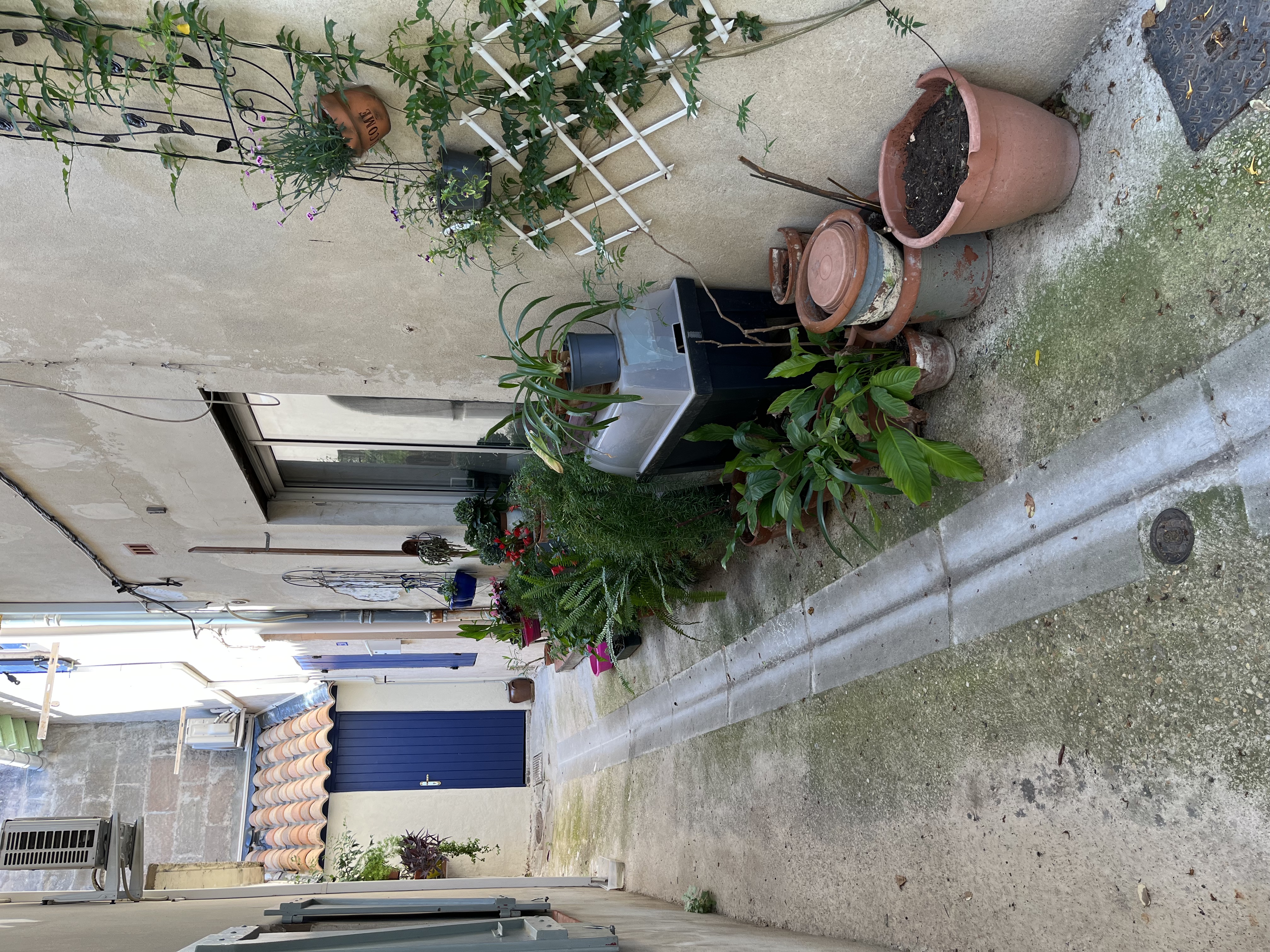 Our Arles airbnb