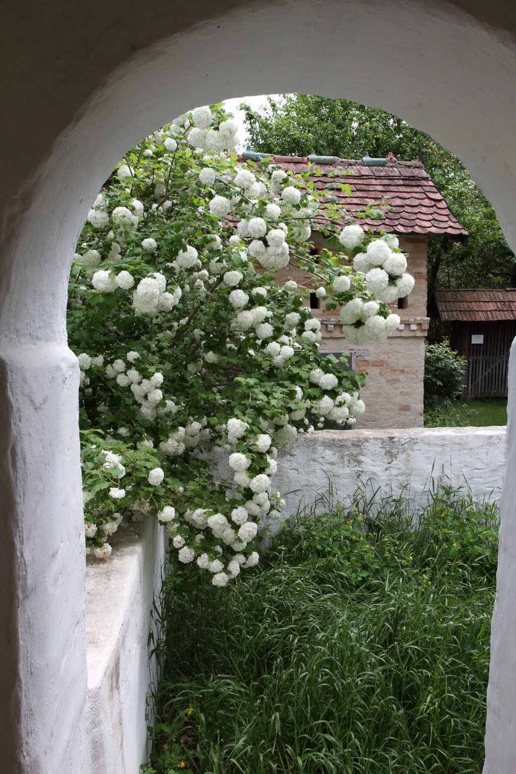 MUSEUMSDORF NIEDERSULZ WEINVIERTEL