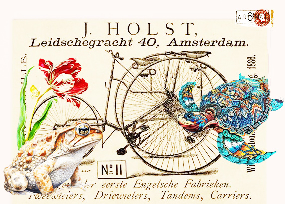 Tulip Toad Bike turtle copy.jpg