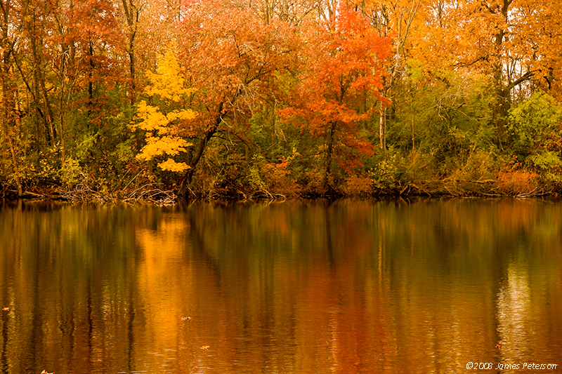 Autumn Reflections (36883)