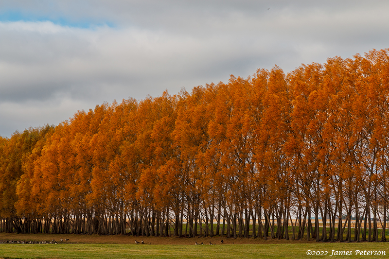 Landscapes & Nature