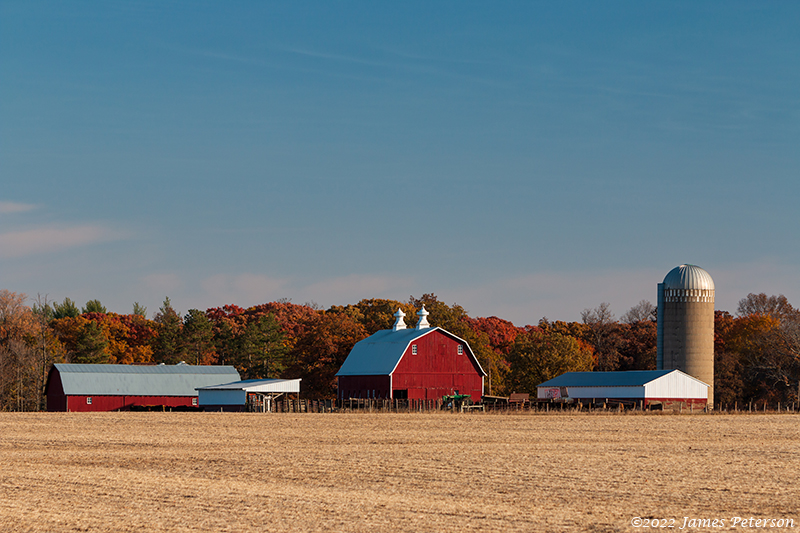 Autumn On The Farm (13,051)