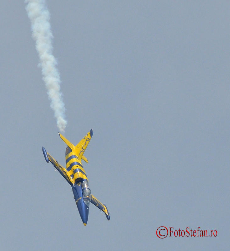baltic-bees-bias-2015-6.JPG