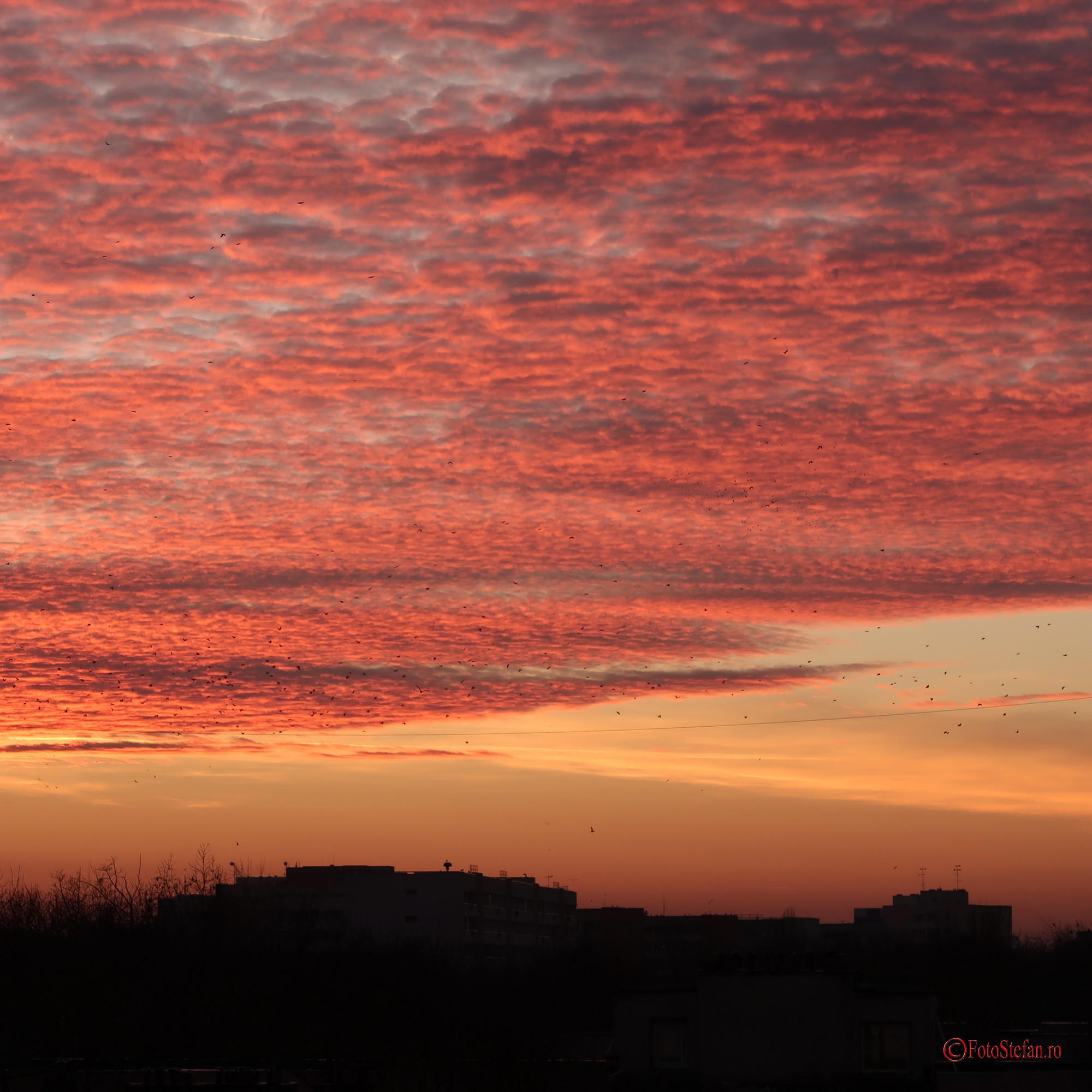Canon-G7-X-Mark-II-1_1.JPG