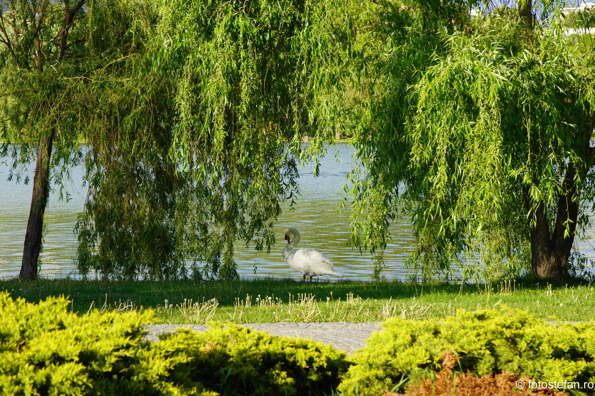 sony-a6400_207.JPG