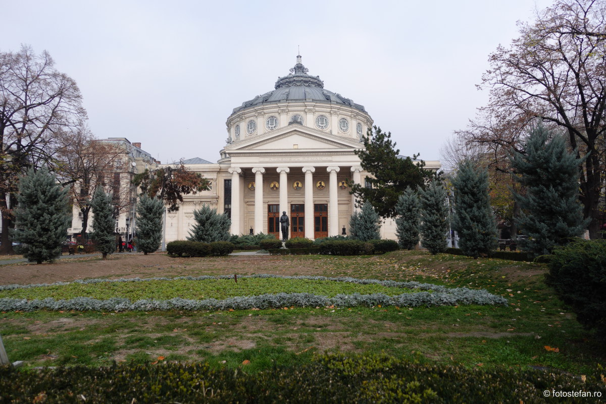 Sony-ZV-1-vivid.JPG